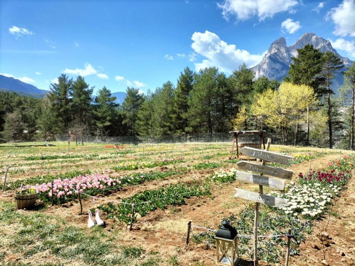 Ca L'Anella Villa Saldes Bagian luar foto
